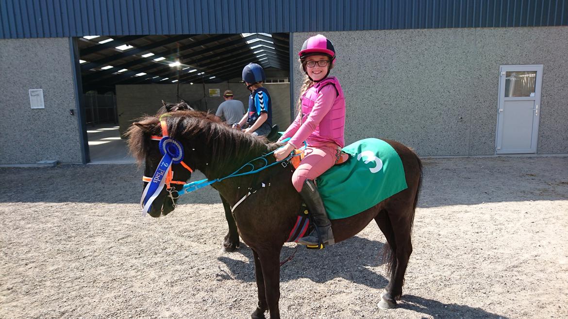 Anden særlig race Søndervangs Zita billede 9