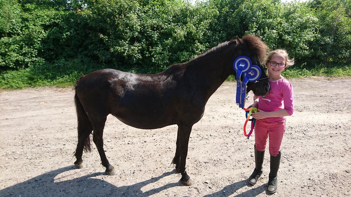 Anden særlig race Søndervangs Zita billede 11