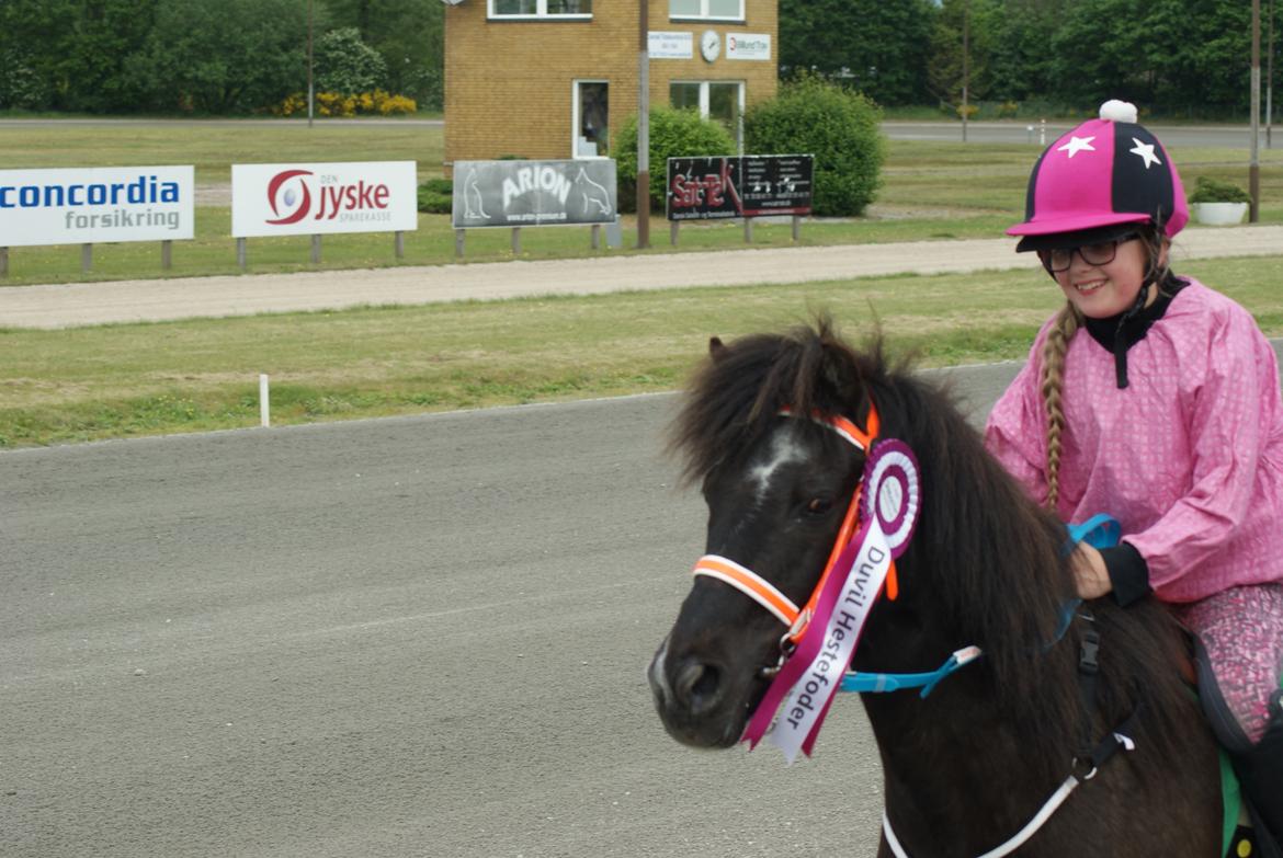 Anden særlig race Søndervangs Zita billede 20