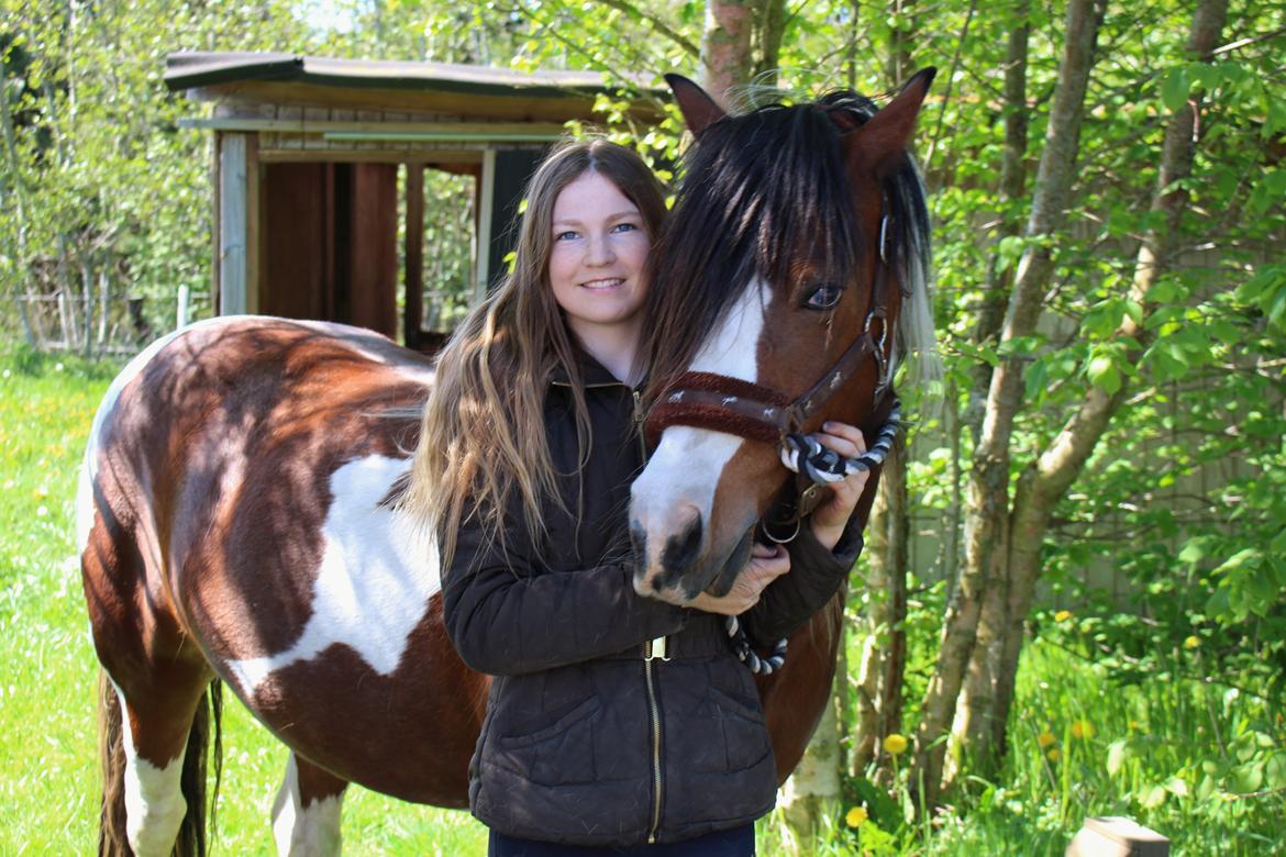 Irish Cob Crossbreed South Lady View<3 - My soulmate <3 billede 2