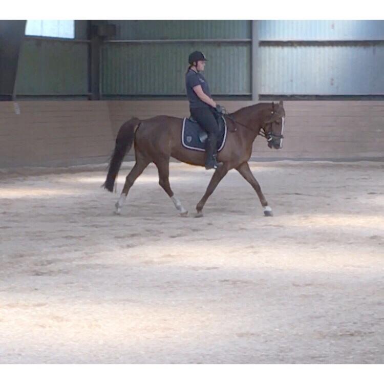 Anden særlig race Kirkely's Kida billede 17