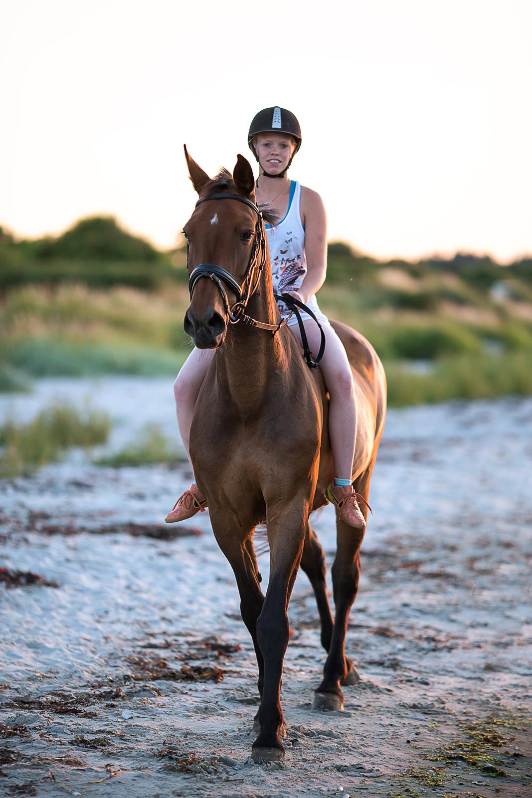 Zangersheide D. Chriesafie Z billede 16