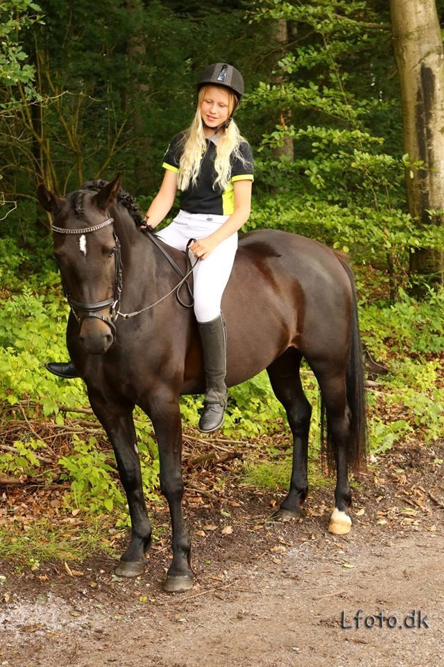 New Forest Elmholts Desiré - Rytterlejr 4. juli 016 billede 10