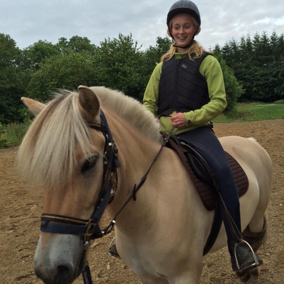 Fjordhest Fox - Første gang jeg sad på ryggen af fox :) billede 2