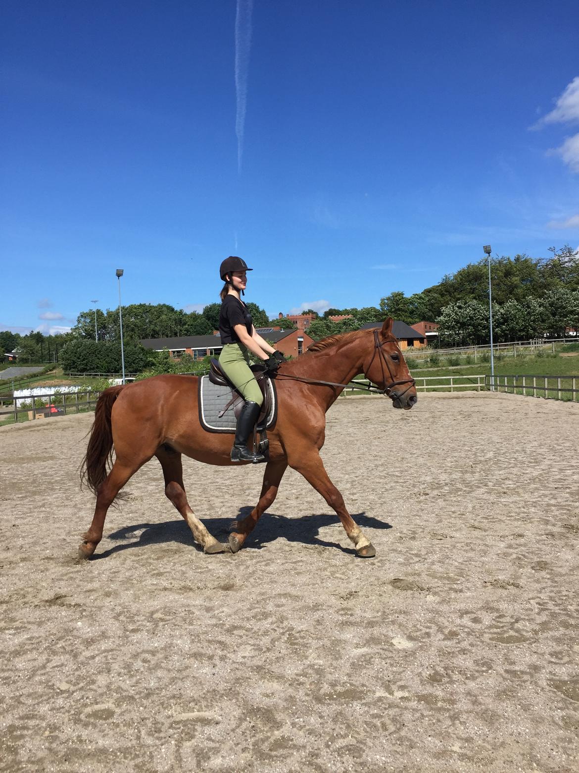 Frederiksborg Mercur Lindegård - 07-07-2016 billede 7