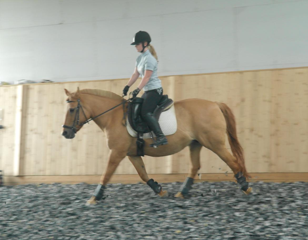 Anden særlig race Zarina - D. 7/7-16 billede 18