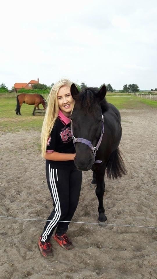 Knabstrupper Playboy<3 billede 2