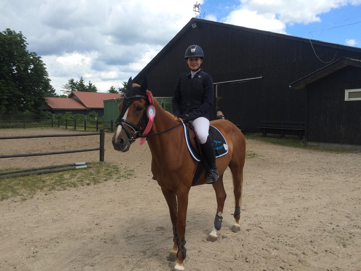 DSP Rawa's Dolce billede 11