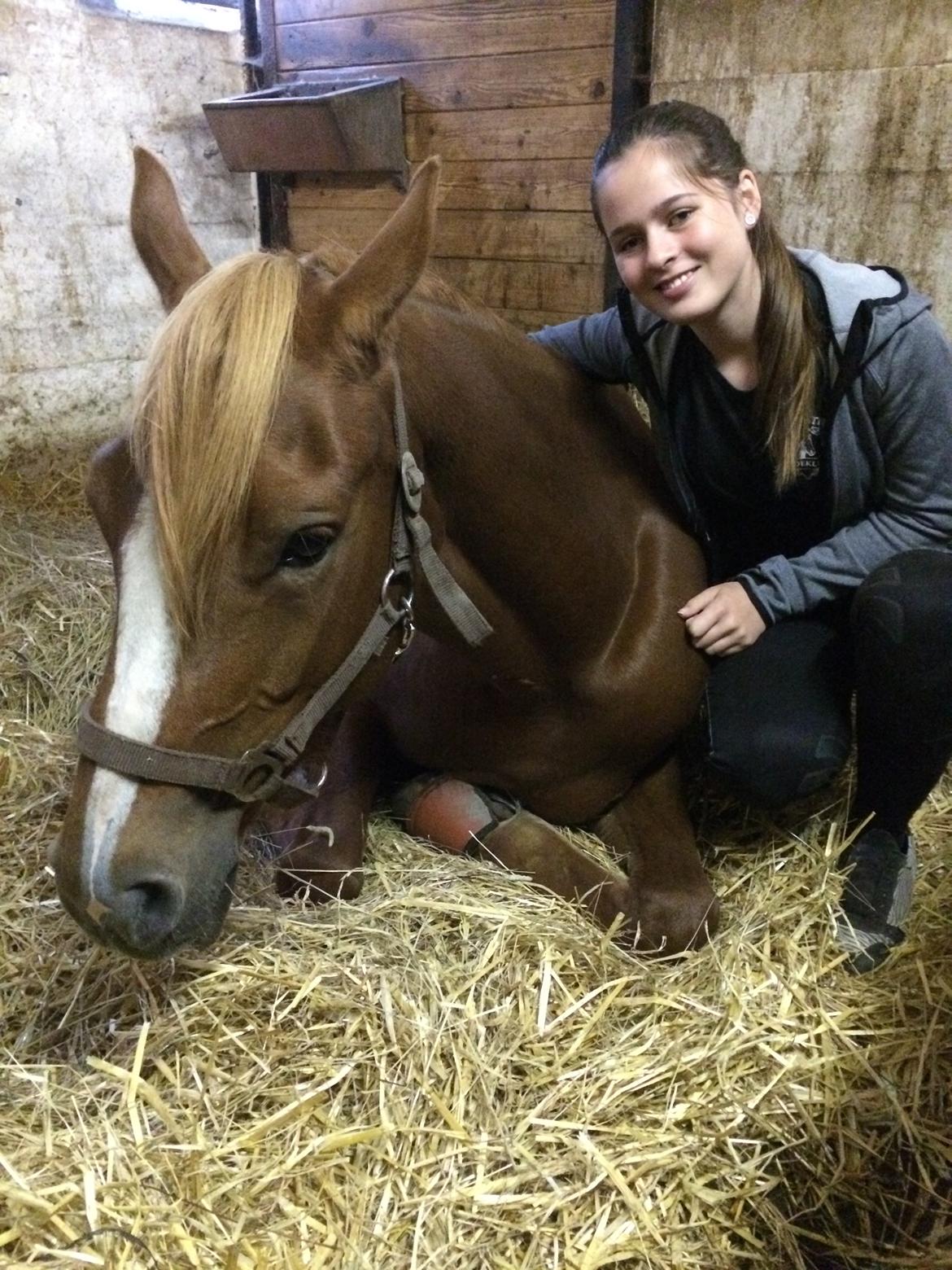 DSP Rawa's Dolce billede 15