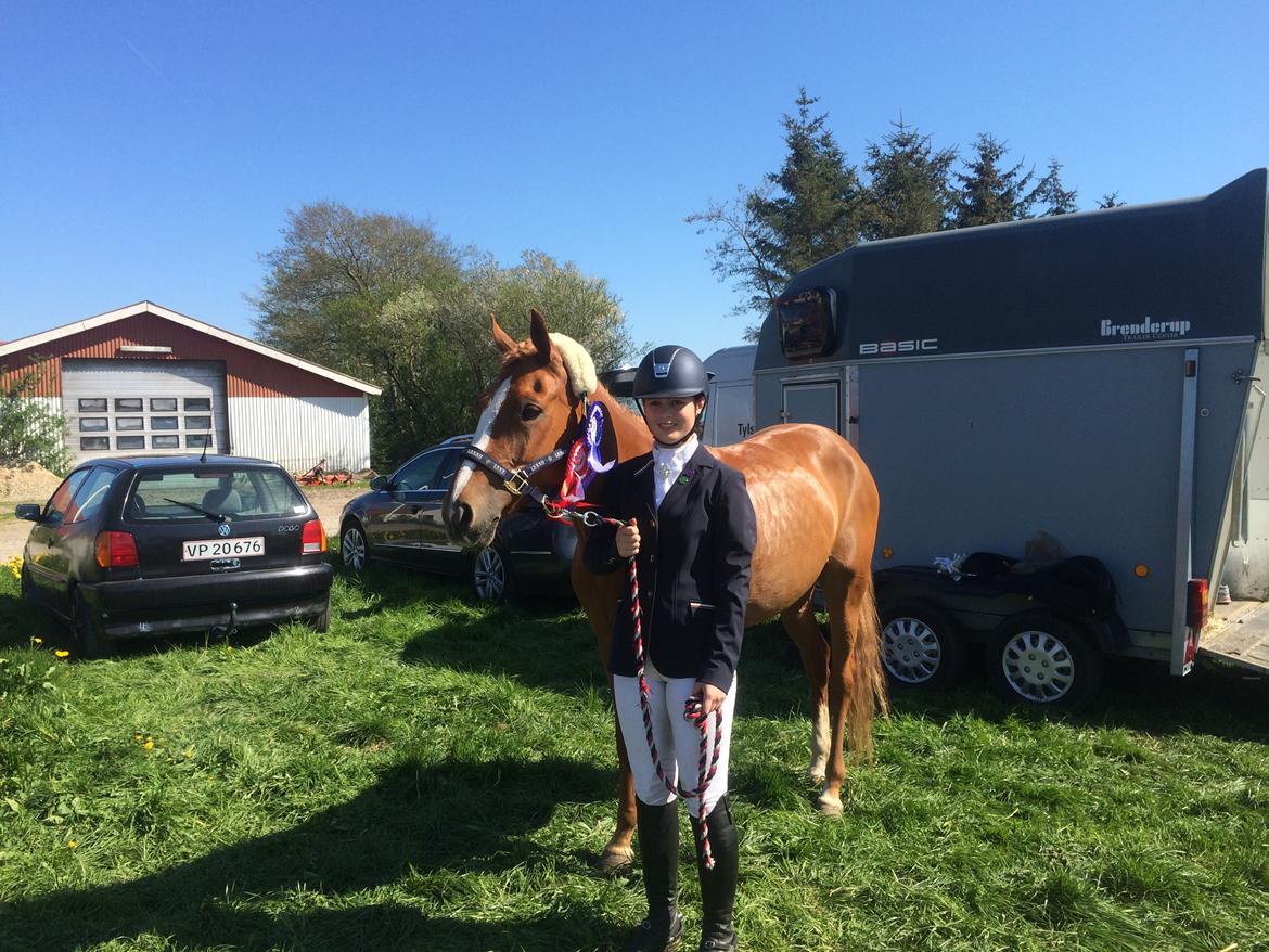 DSP Rawa's Dolce billede 17