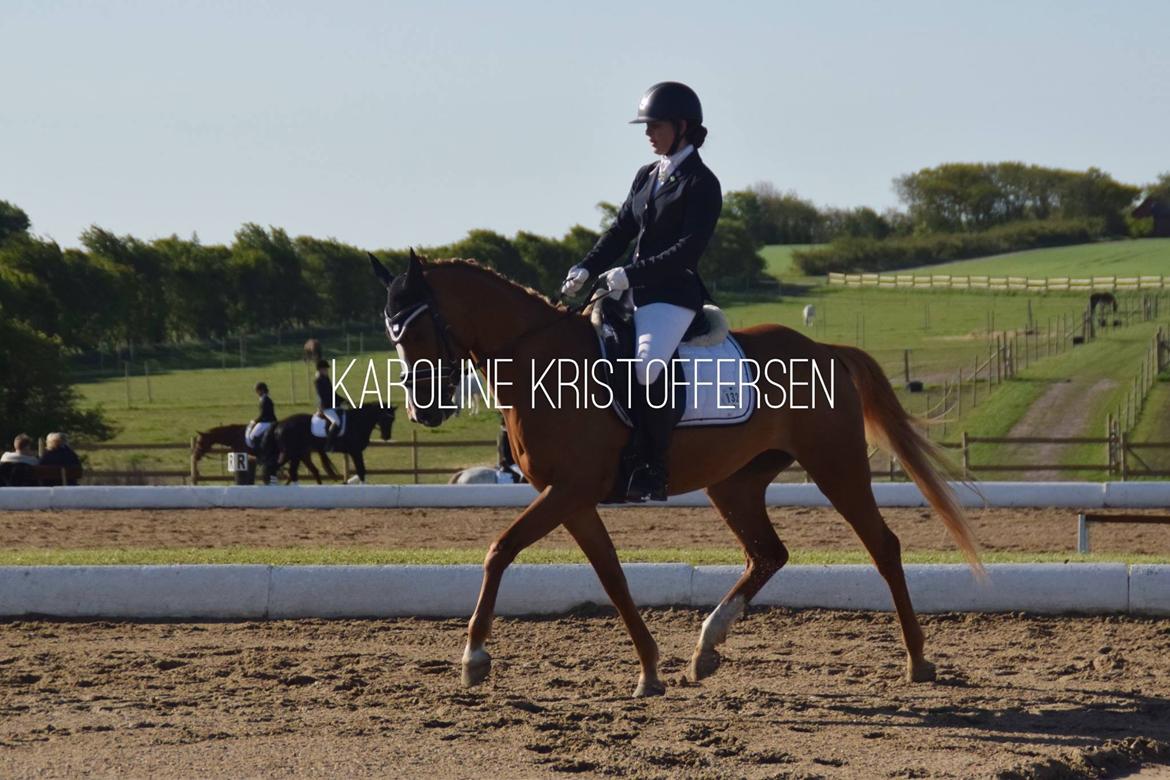 DSP Rawa's Dolce billede 1