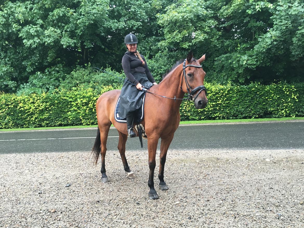 Traver Cæcar billede 33