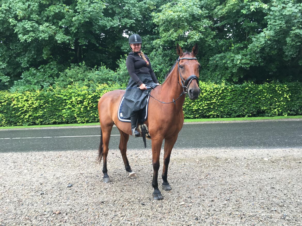 Traver Cæcar billede 34