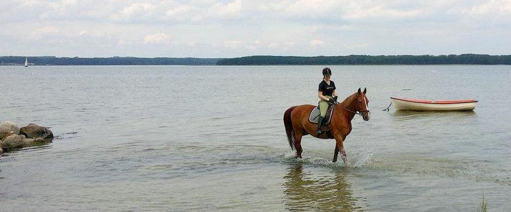 Frederiksborg Mercur Lindegård - 08-07-2016 billede 11