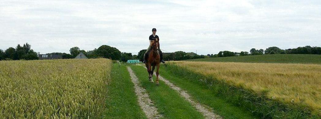 Frederiksborg Mercur Lindegård - 08-07-2016 billede 3