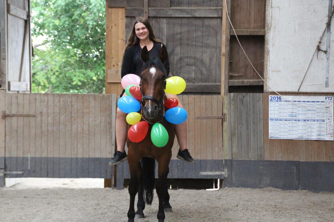 Traver Kenny U.A. - Kennys 12 års fødseldag!  billede 9