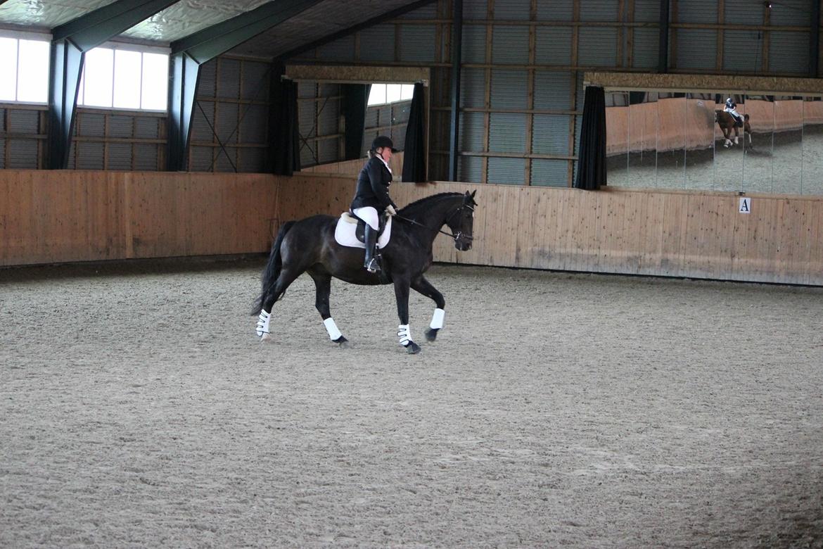 Oldenborg Another one 2 (Dundee) billede 11