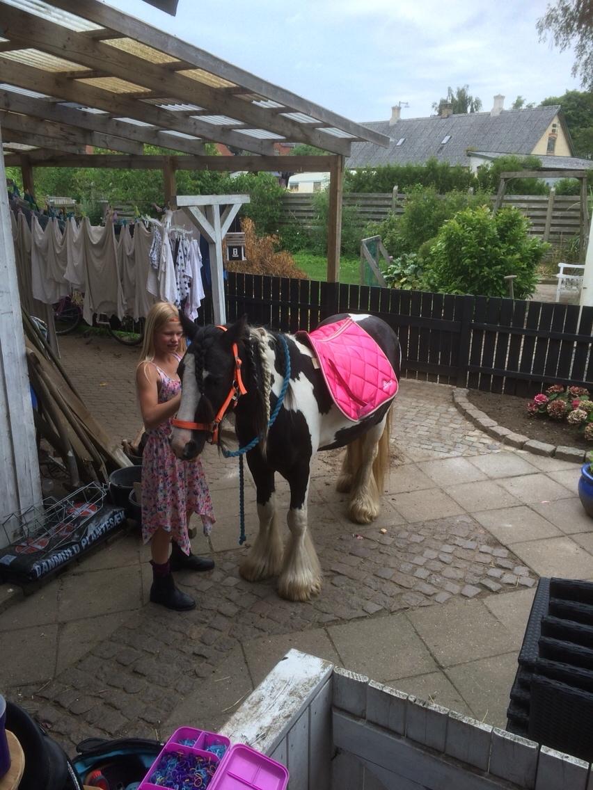 Tinker Oliver billede 17