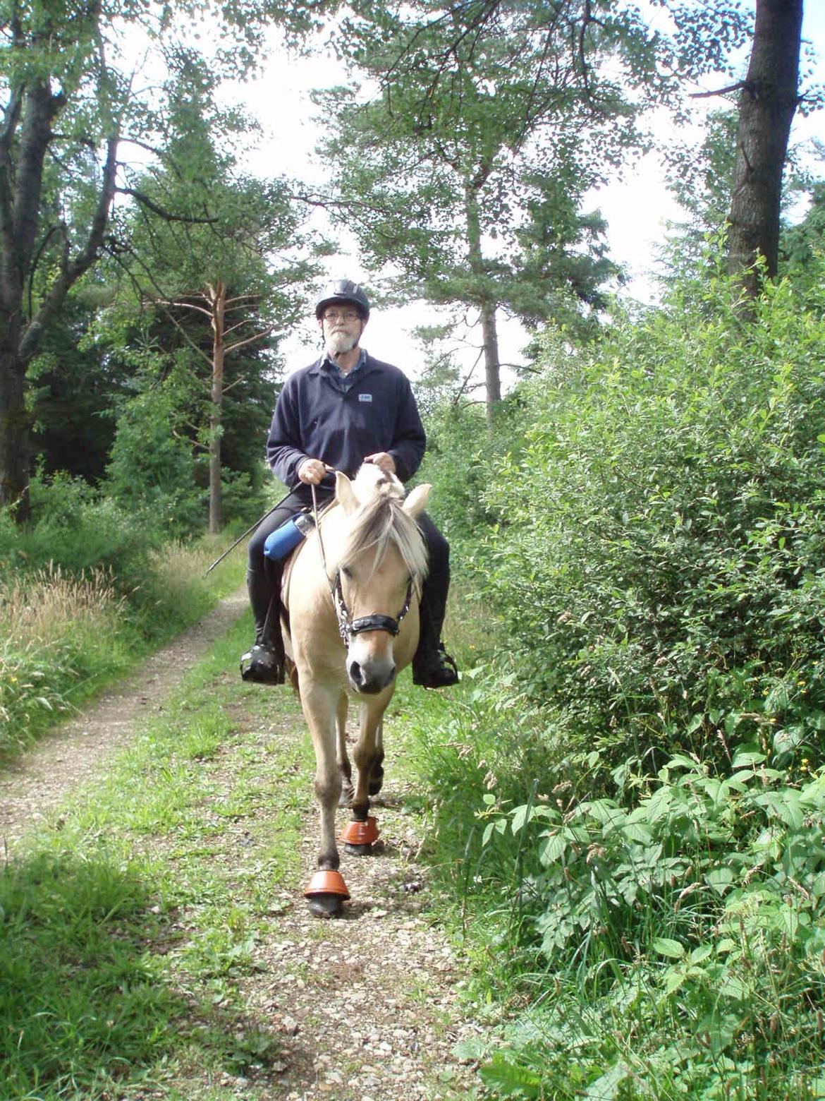 Fjordhest Vrå nikita - de 2 altså som de nyder hinanden 10 Juli 2016 billede 22