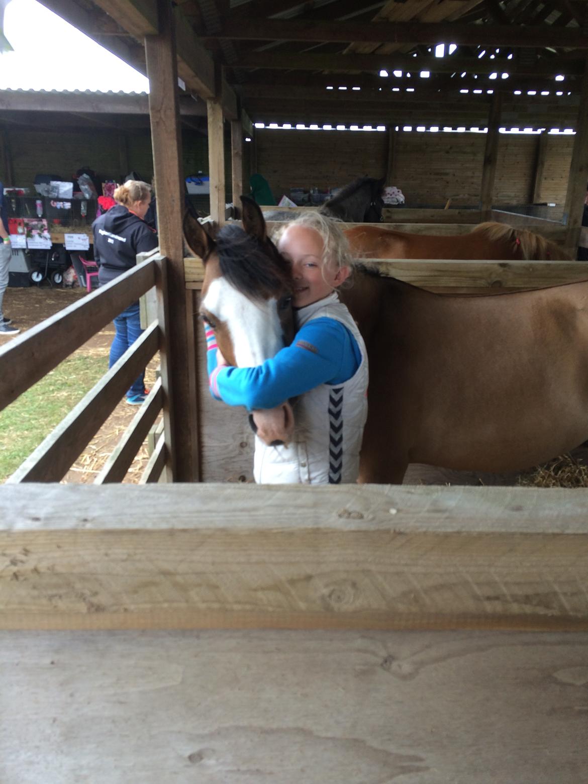 Welsh Pony (sec B) Kongsgodsgaards Avatar - Hygge til Hjørring Dyrskue billede 15