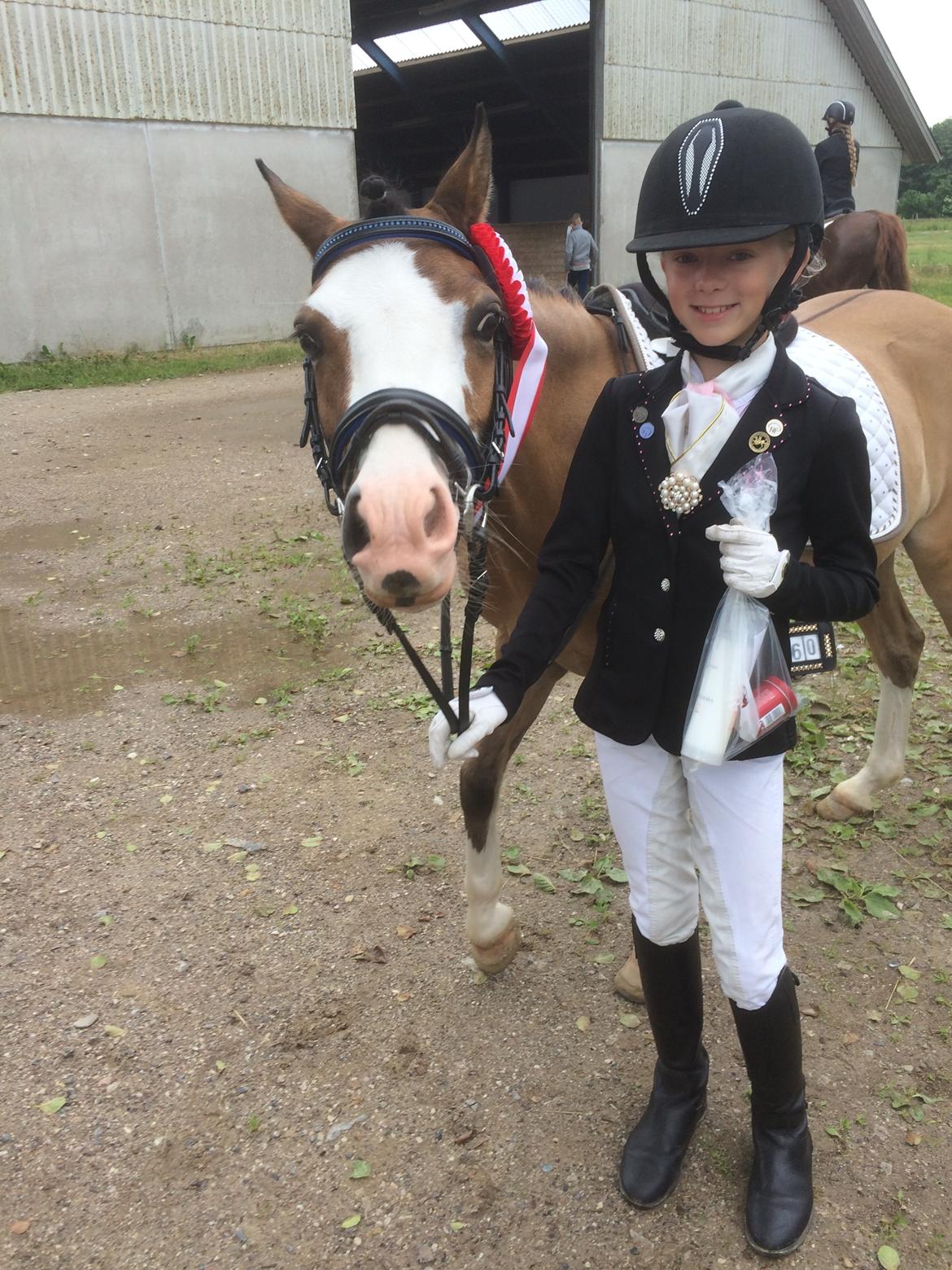 Welsh Pony (sec B) Kongsgodsgaards Avatar - Fjolle pony! En bandit og alligevel en 1. plads! billede 16