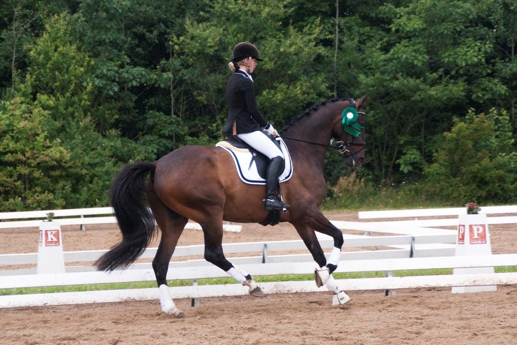 Trakehner M-speedy - Speedy til præmieoverrækkelse i Sparekassen Vensyssel Cup - vi endte samlet som nummer 5 billede 14