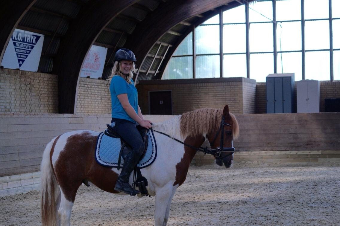 Anden særlig race Mikki billede 6