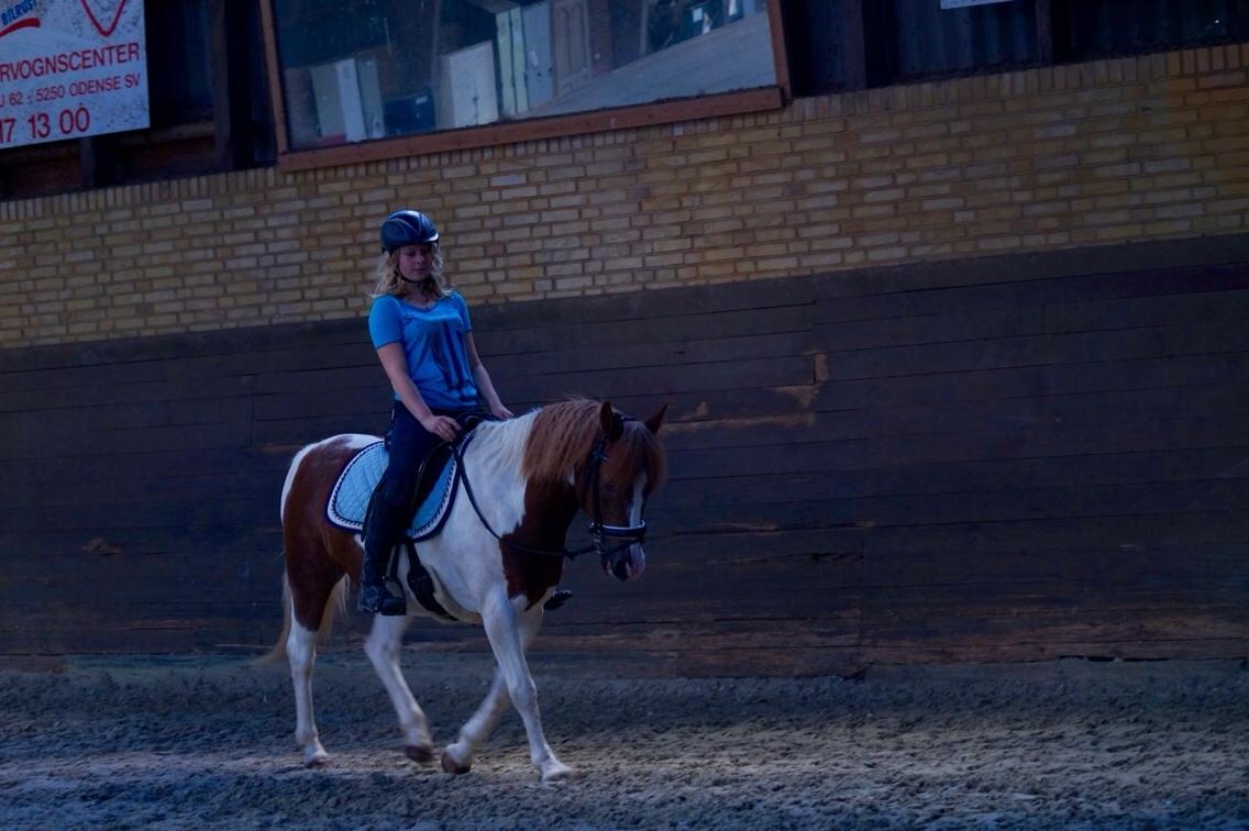 Anden særlig race Mikki billede 7