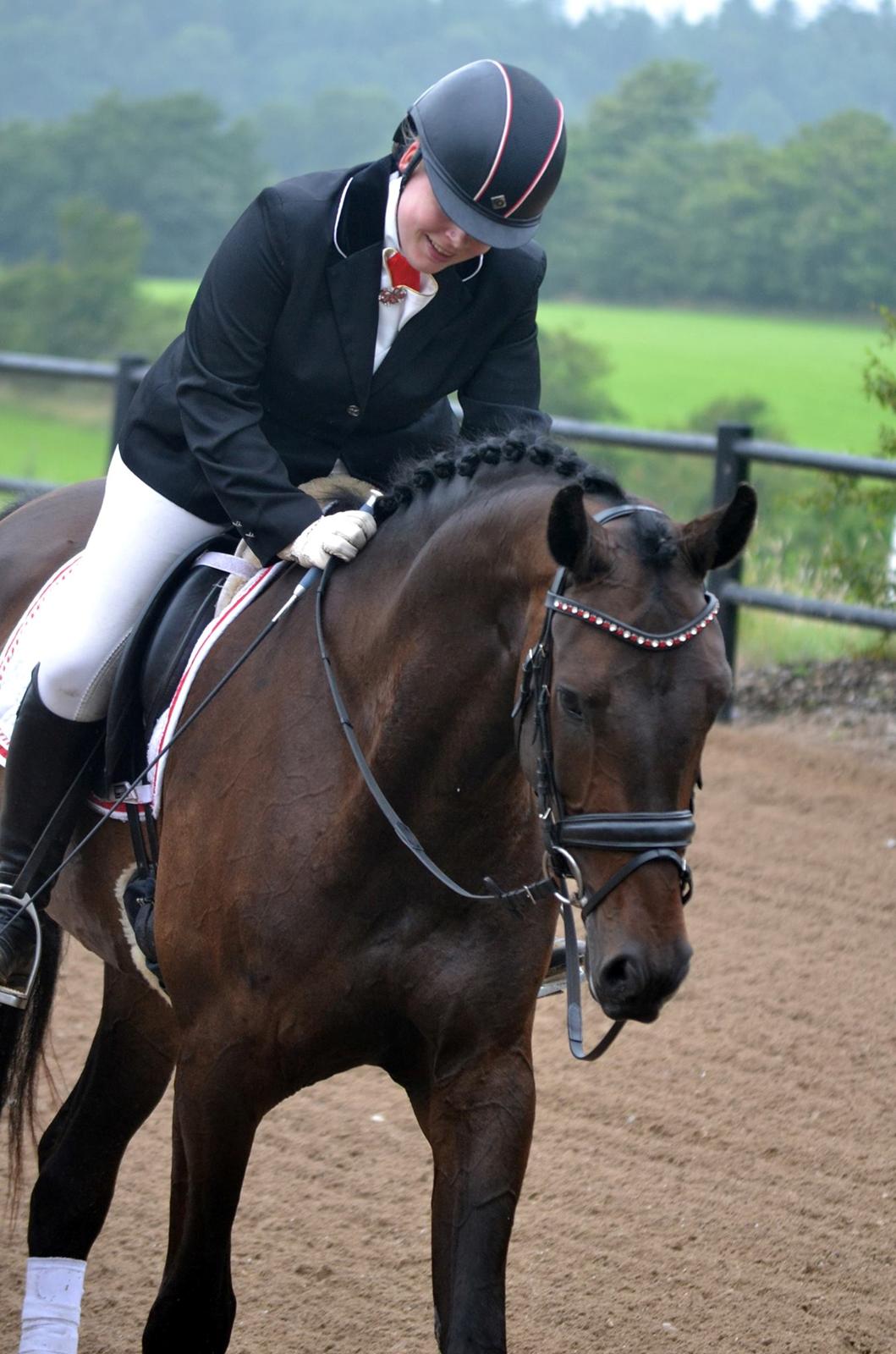 Dansk Varmblod Sieg zack billede 22