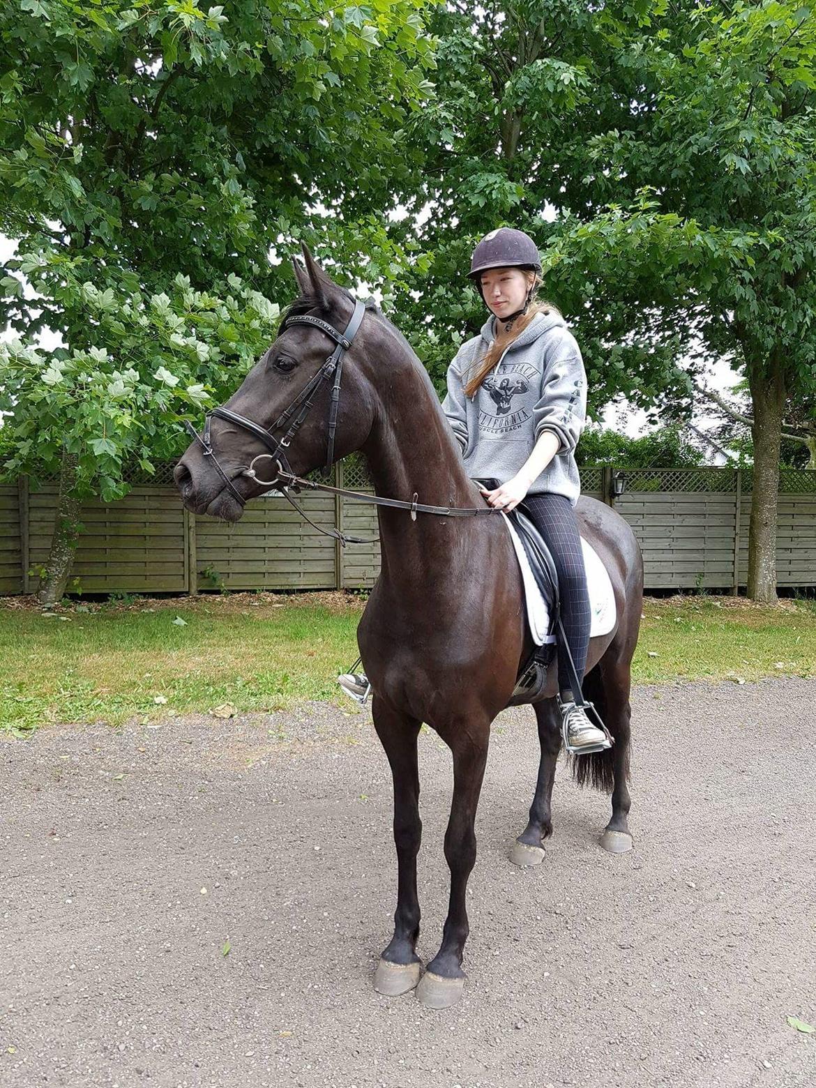 Anden særlig race Farida Arieke  billede 18