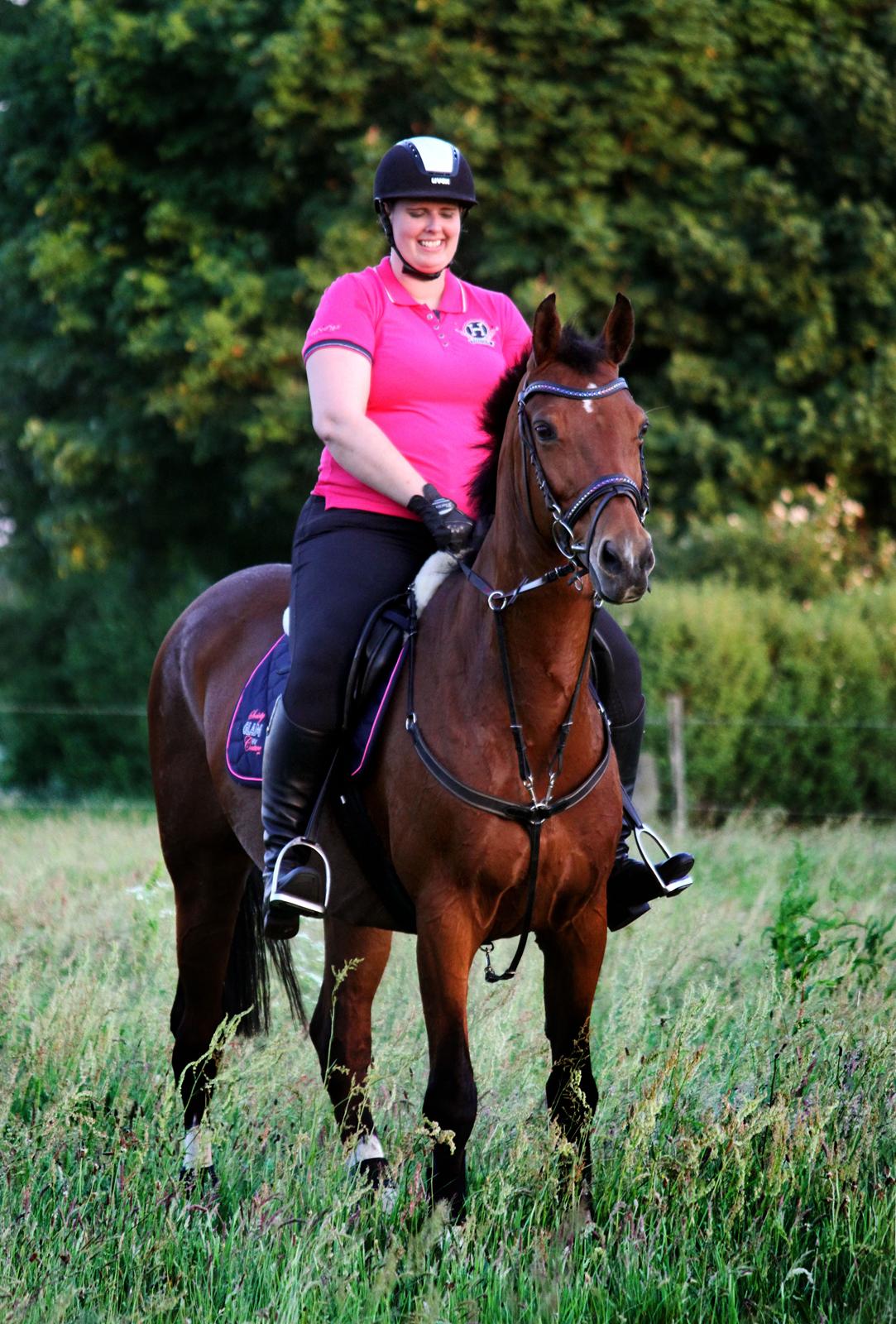 Dansk Varmblod Ørstedslunds Lucky Lady billede 12