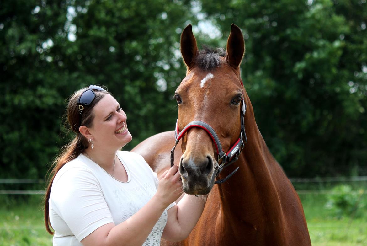 Dansk Varmblod Ørstedslunds Lucky Lady billede 15