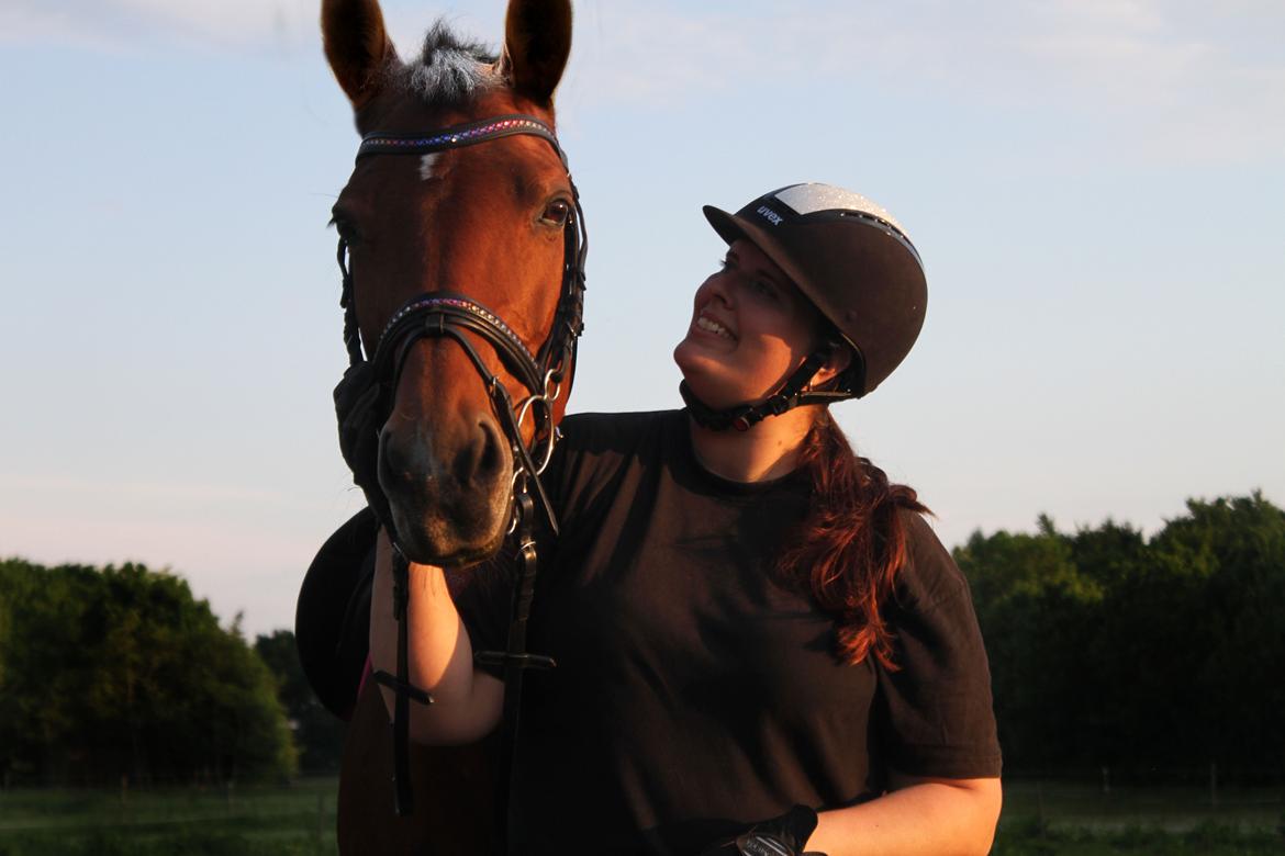 Dansk Varmblod Ørstedslunds Lucky Lady billede 28
