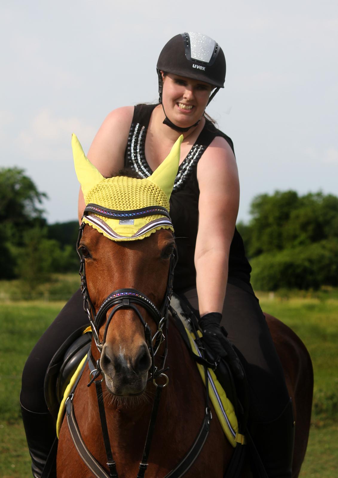 Dansk Varmblod Ørstedslunds Lucky Lady billede 20