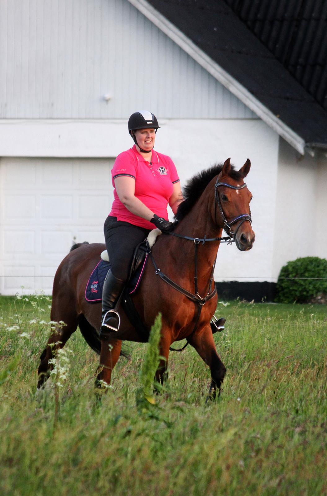 Dansk Varmblod Ørstedslunds Lucky Lady billede 29