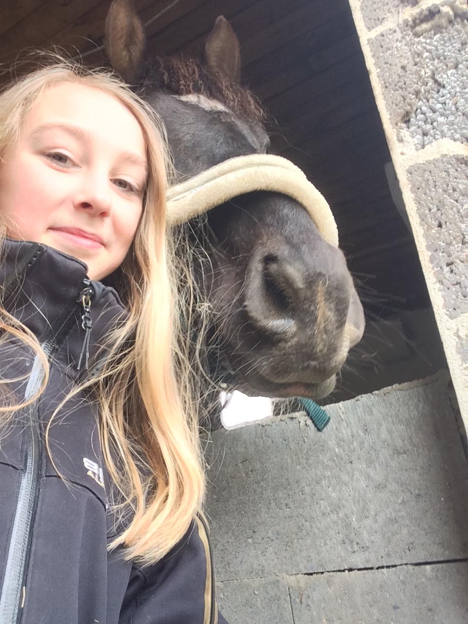 Barockpinto Rialto Bertram billede 10