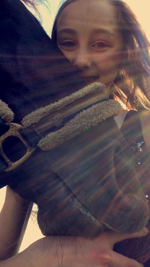 Barockpinto Rialto Bertram billede 11