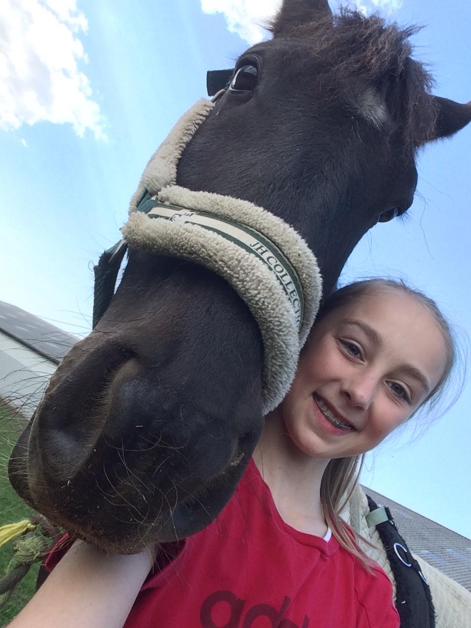 Barockpinto Rialto Bertram billede 9