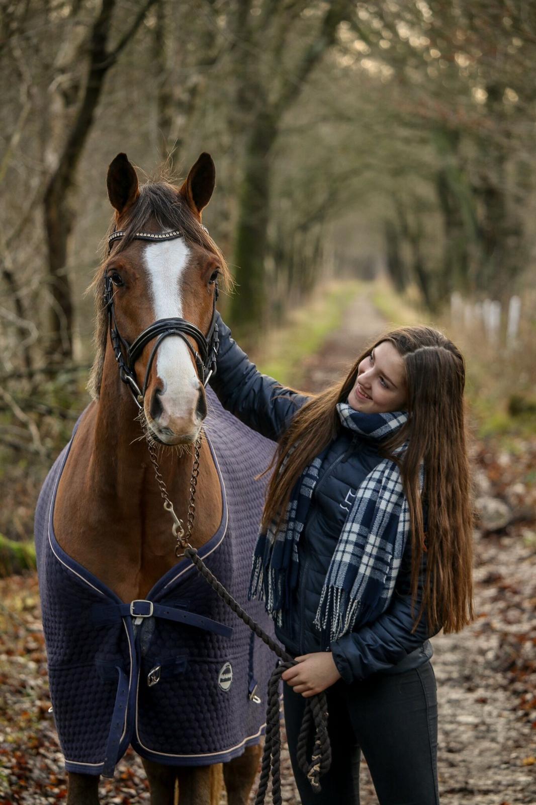 Tysk Sportspony Colorline 2 billede 1