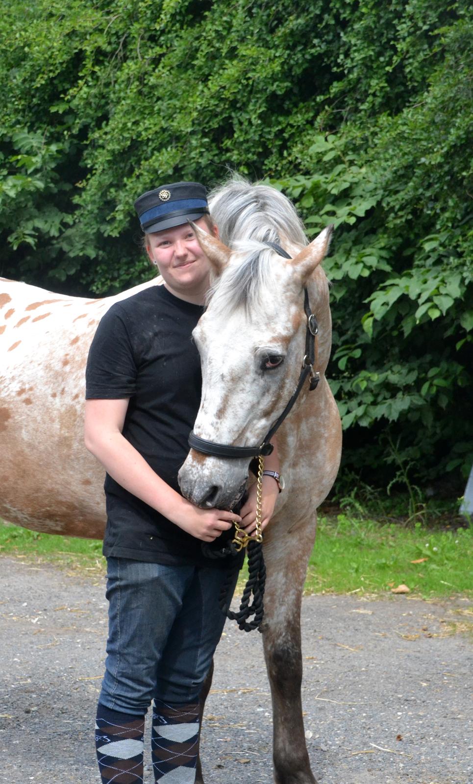 Anden særlig race Kasmir  billede 13