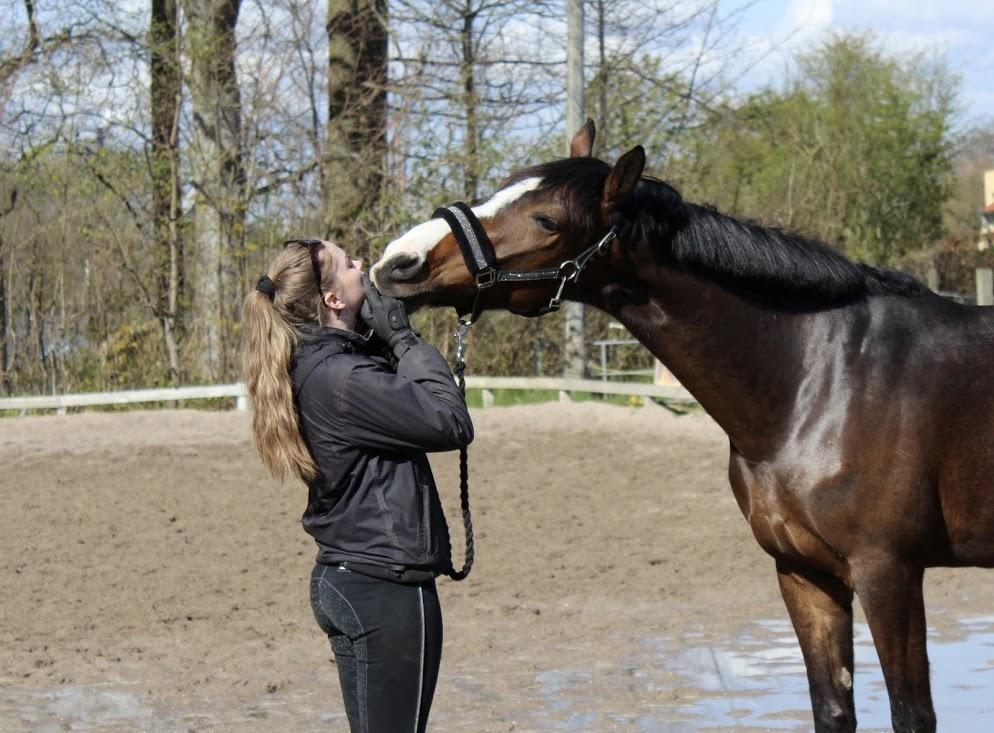 Anden særlig race Holmegaards Dicarpac billede 6
