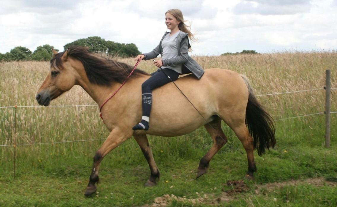 Anden særlig race Maude af mølleagergård billede 5