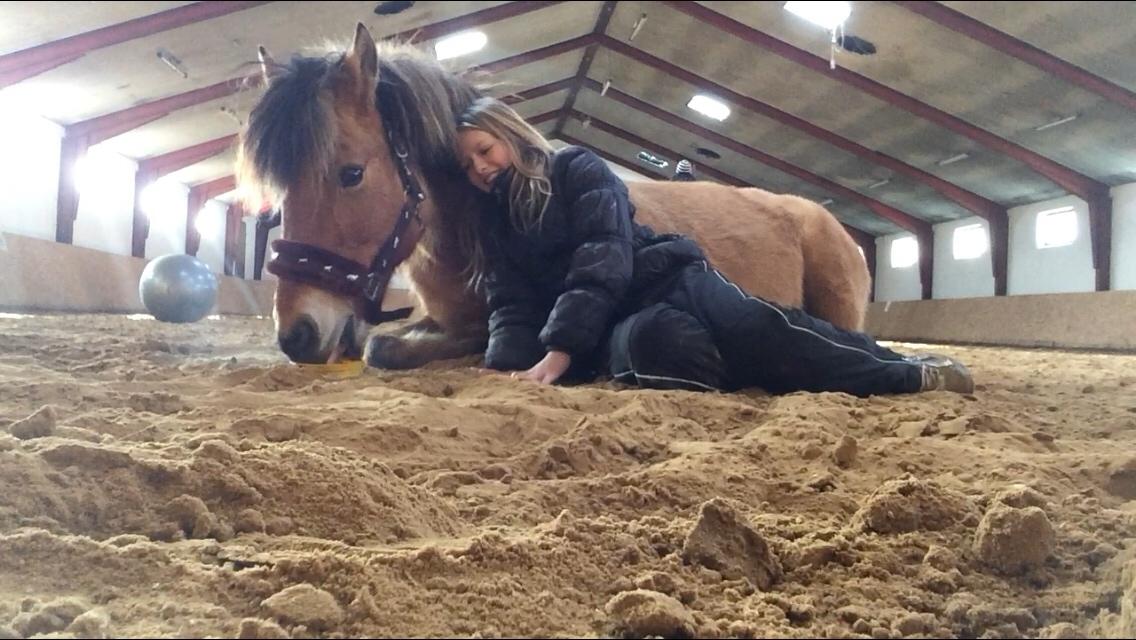 Anden særlig race Maude af mølleagergård billede 11