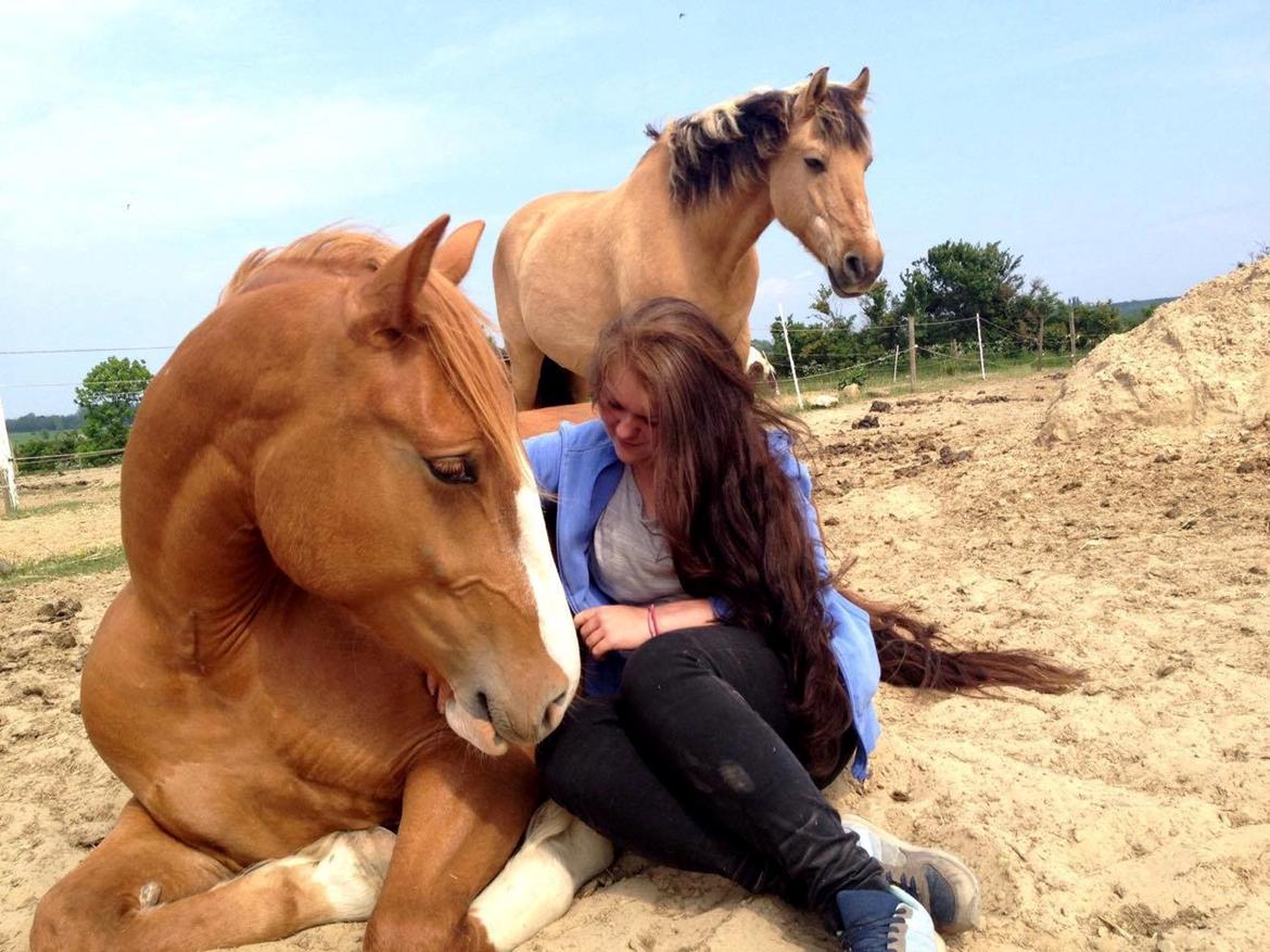 Frederiksborg - Prinsesse Tut (Musse) - ♥♥♥♥♥♥  -  Sommer 2016 billede 12