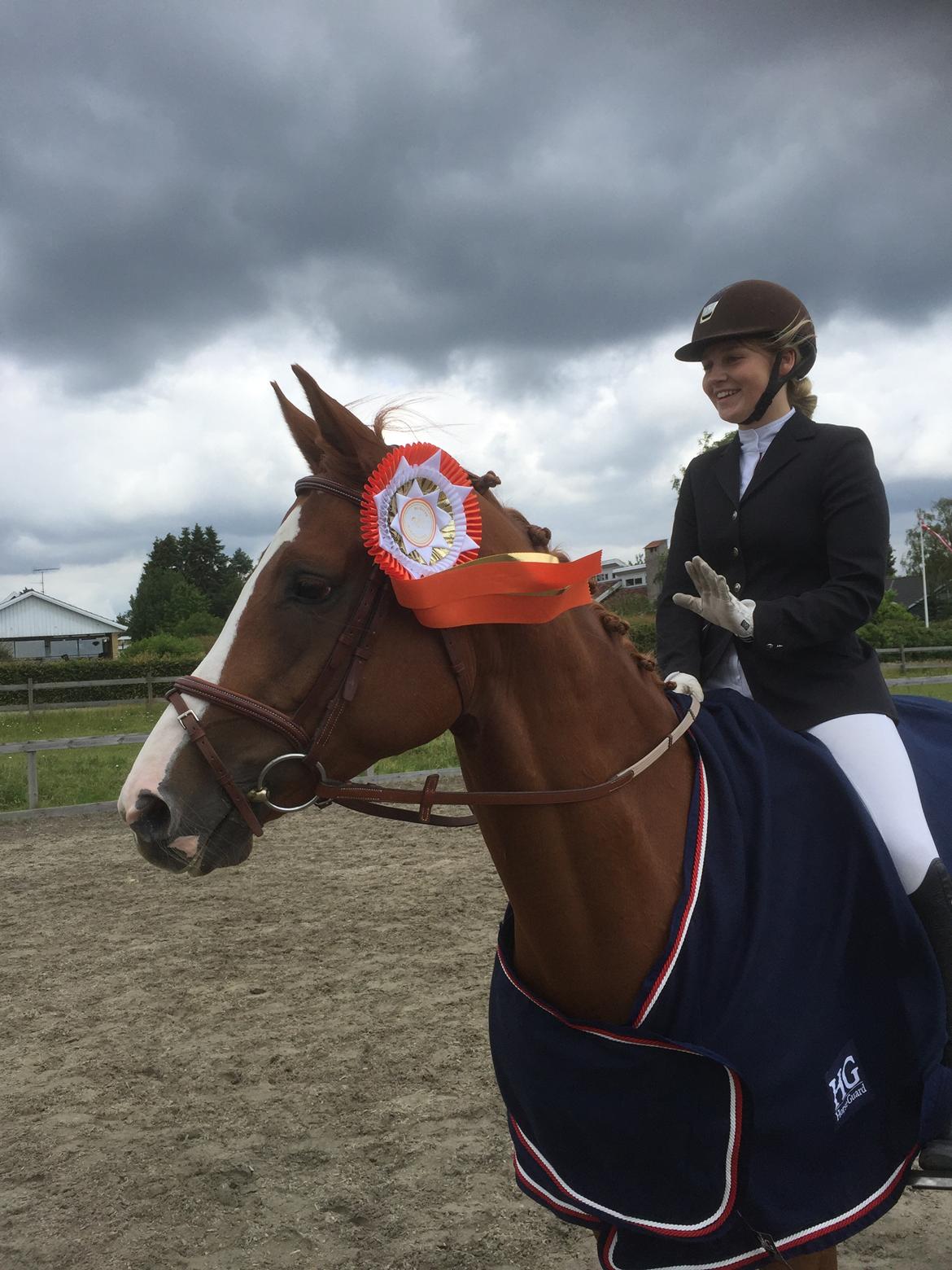 Hannoveraner Sans Sourci L'Derry Bell billede 8