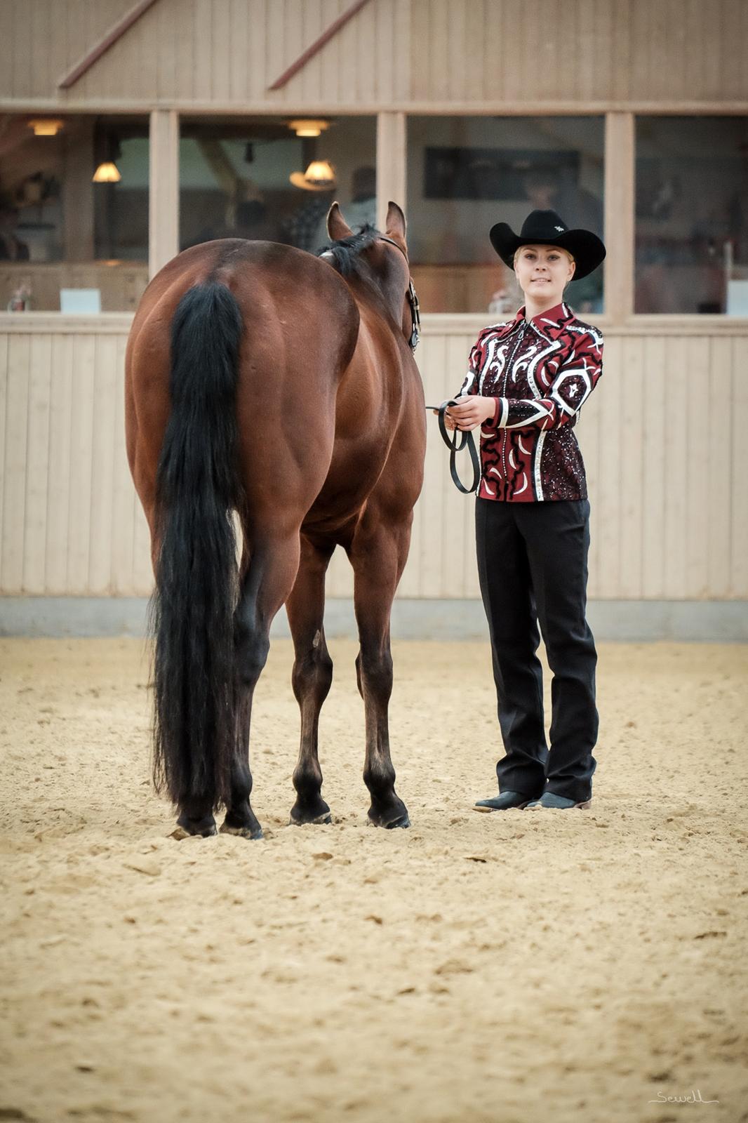 Quarter One Hot Destination - Showmanship ved Ride In Show 2016 billede 13