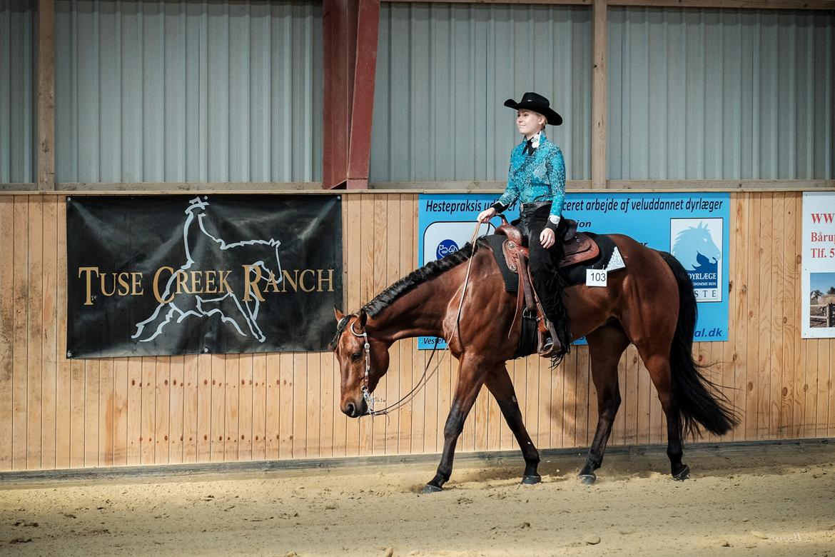 Quarter One Hot Destination - Ride in show 2016 billede 19
