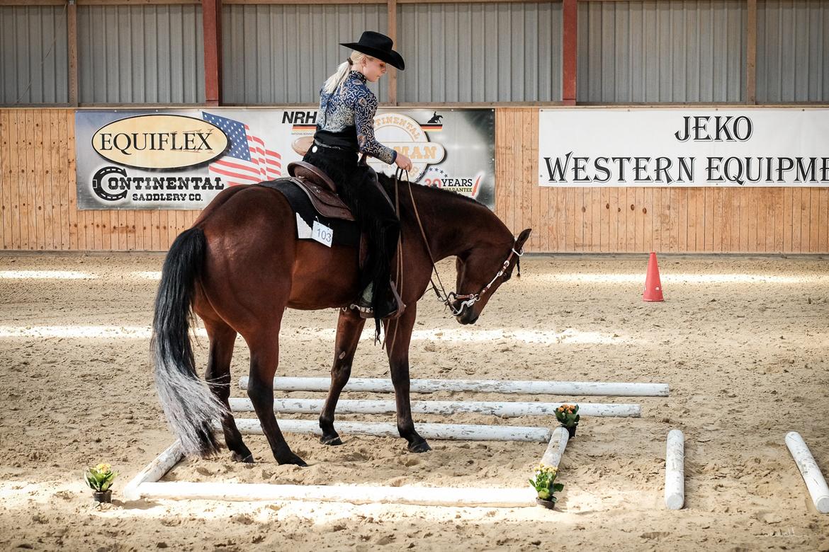 Quarter One Hot Destination - Trail debut - ride in show 2016 billede 10