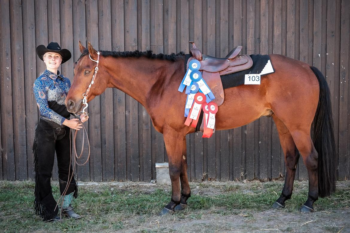 Quarter One Hot Destination - Ride in show 2016 - vores første youth all round titel :-D billede 5