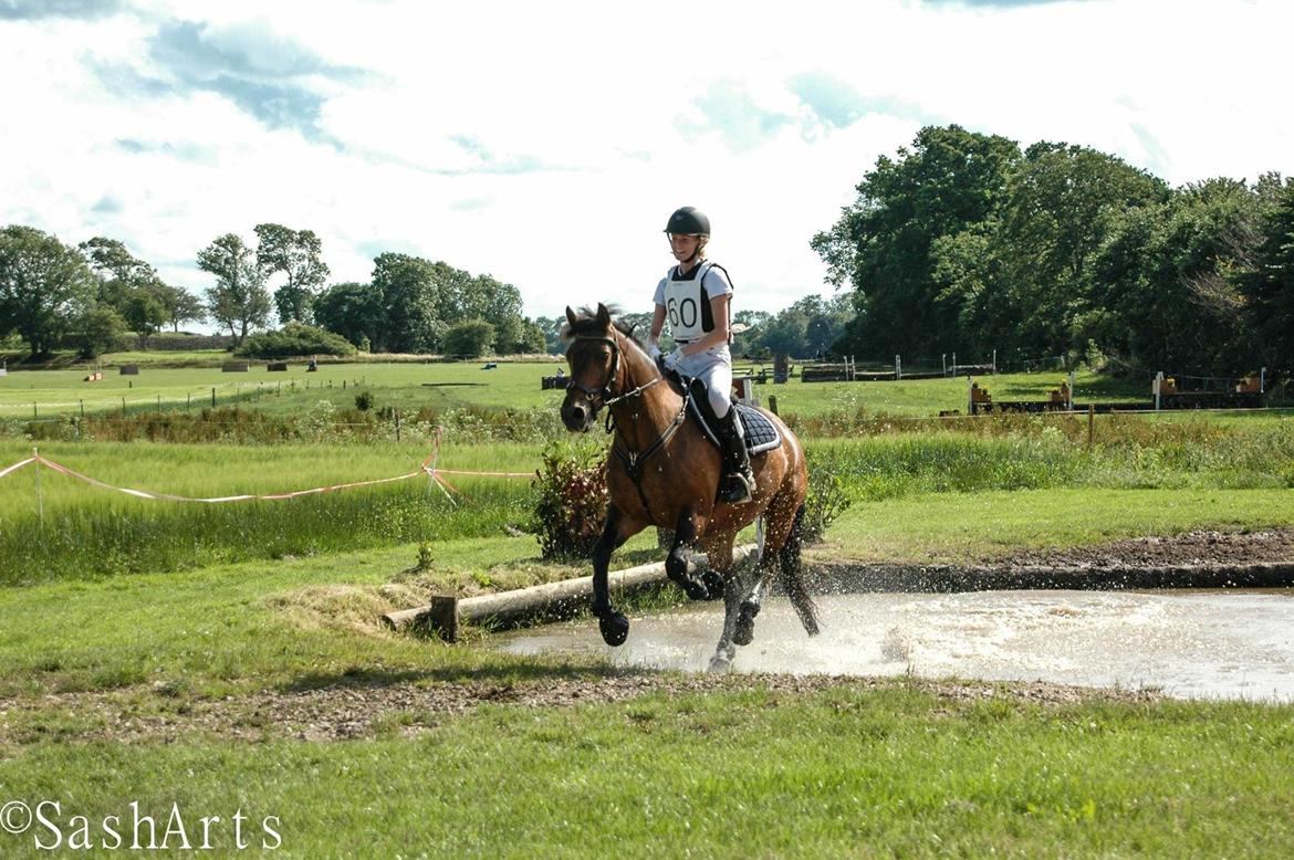 Anden særlig race Shja-shje billede 1